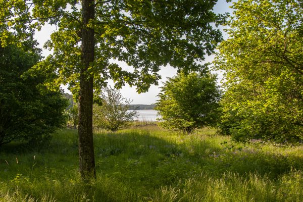 Lindholmen